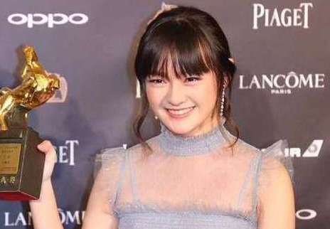 《天坑鹰猎》电视剧女主角是谁？文淇第54届金马奖最佳女主角提名