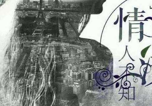 《浅情人不知》讲述什么故事？根部哪部小说改编的