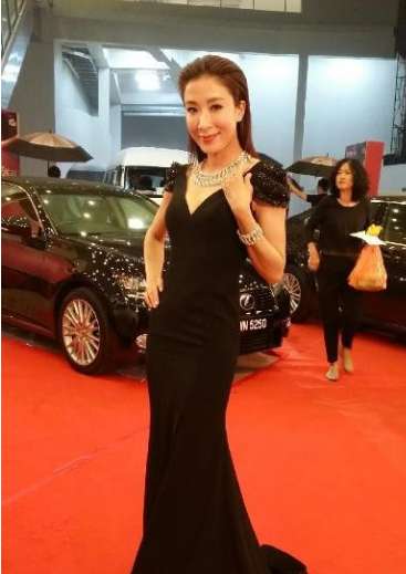 杨怡红毯照