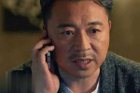 《归去来》最精彩剧集：成伟书望双双被捕，一切即将真相大白！