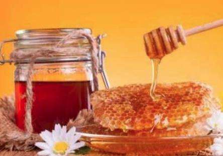 世界上最贵的蜂蜜，安紫尔牌蜂蜜国际市场售价每公斤245美元