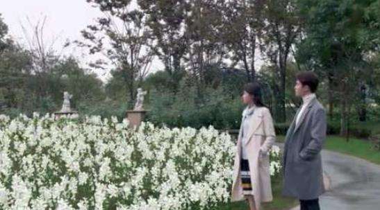 《凉生我们可不可以不忧伤》天佑坠海失明后为什么逼姜生离开？真相是什么？