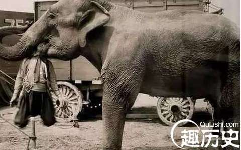 揭秘：东南亚恐怖象刑，用大象虐杀犯人