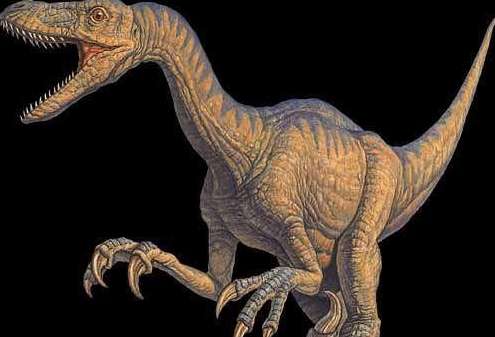 史上速度最快的恐龙恐爪龙70公里每小时
