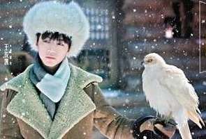 《天坑鹰猎》白发老人是什么人？绑架陆叔的人是谁