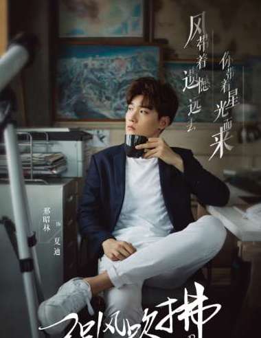 《强风吹拂》是以登山为背景的电视剧吗？男女主角是谁演的