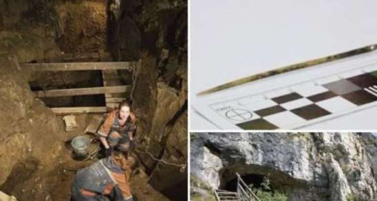 世界上最古老的针——距今5000年，用鸟骨制成