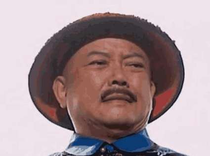 和坤最大的靠山为什么是他的弟弟和琳 而不是乾隆皇帝呢