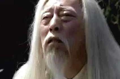 诸葛亮的传人是姜维，司马懿的传人是谁？