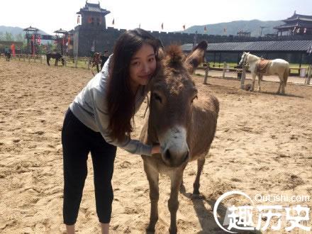 倪妮2015学习武术生活照 刻苦勤奋十分认真