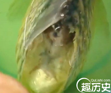 QQ截图20151225131136.png