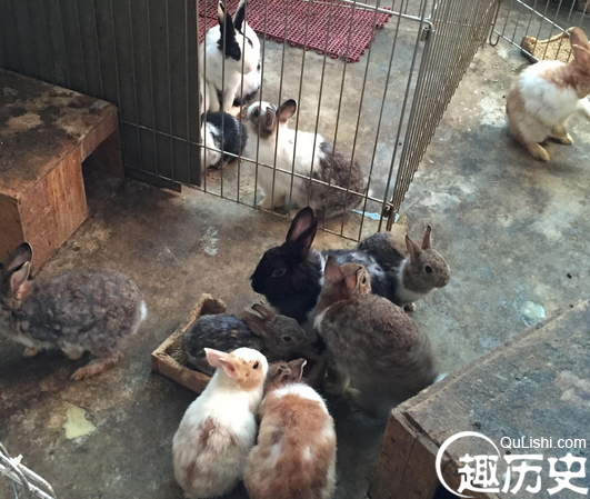 QQ截图20151225132256.png