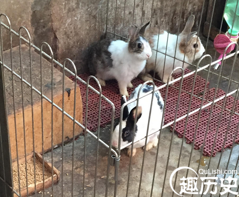 QQ截图20151225132308.png