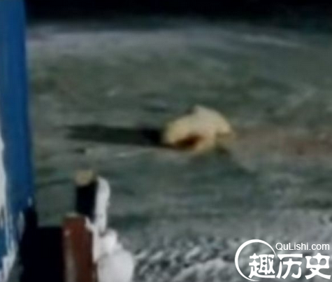 QQ截图20151225132635.png