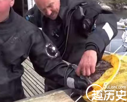 QQ截图20151225141414.png