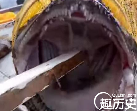 QQ截图20151225142242.png