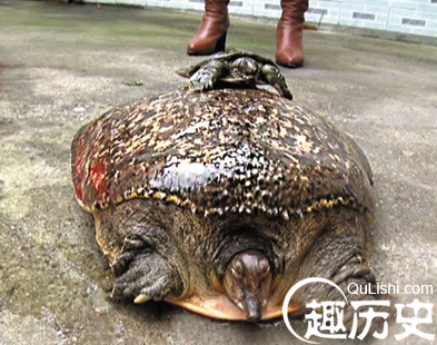 QQ截图20151228105109.png