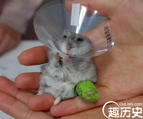 QQ截图20151228142141.png