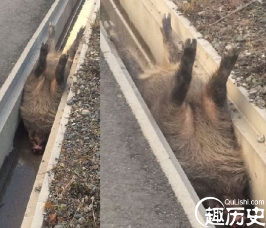 QQ截图20151228142559.png
