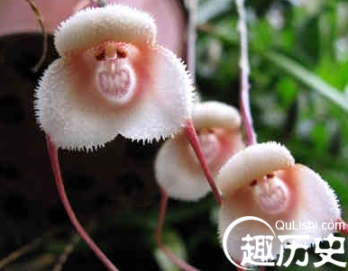 QQ截图20151228144423.png