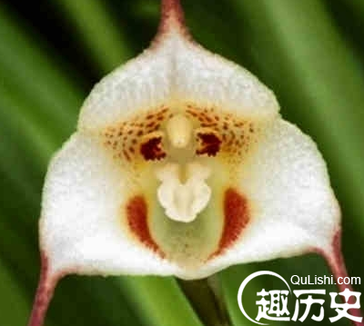 QQ截图20151228144502.png