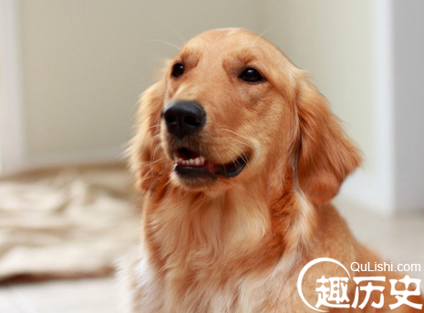 QQ截图20151229105659.png