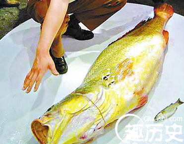 QQ截图20151229154920.png