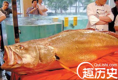 QQ截图20151229154733.png