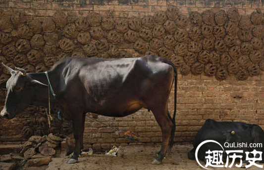 QQ截图20151229164707.png