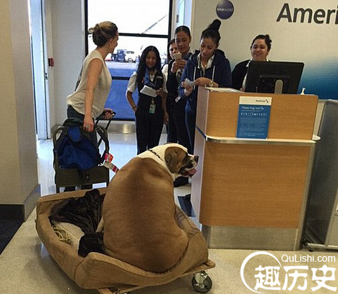 QQ截图20151231151405.png