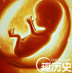 流产后胚胎还在 吓死宝宝了