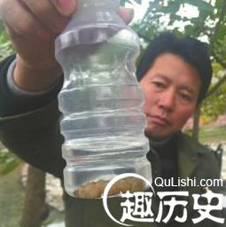 三苏祠“人蚁大战” 7厘米长蚁后被生擒