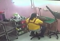 绞杀撞球国手爱犬 美容师称情绪失控被起诉