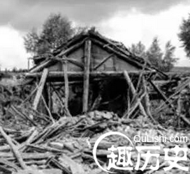 狗发狂咬伤主人 被打死后才发现悲伤欲绝的真相