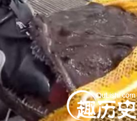 男子手被怪鱼紧咬著不放 场面大惊！