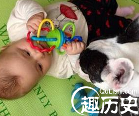 狗狗照顾他新生儿妹妹 看了让你心暖一整天!