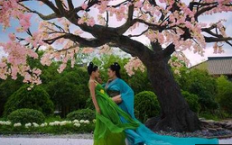 太子妃升职记床戏：太子妃升职记大尺度床戏在第几集？