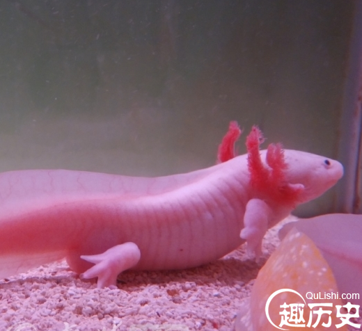 QQ截图20160105101011.png