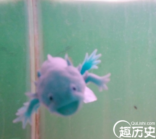 QQ截图20160105100945.png