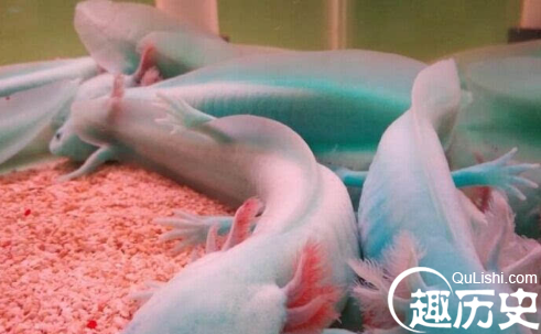 QQ截图20160105101245.png