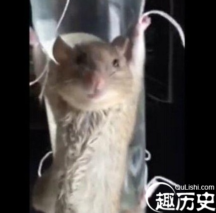 QQ截图20160107100928.png