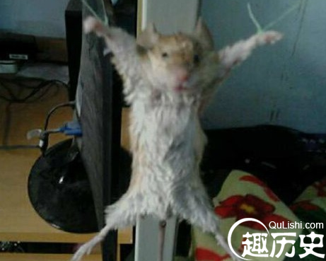 QQ截图20160107100939.png