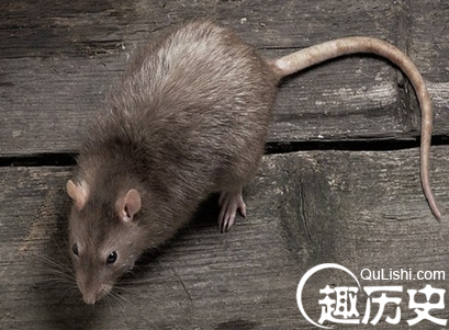 QQ截图20160107175034.png