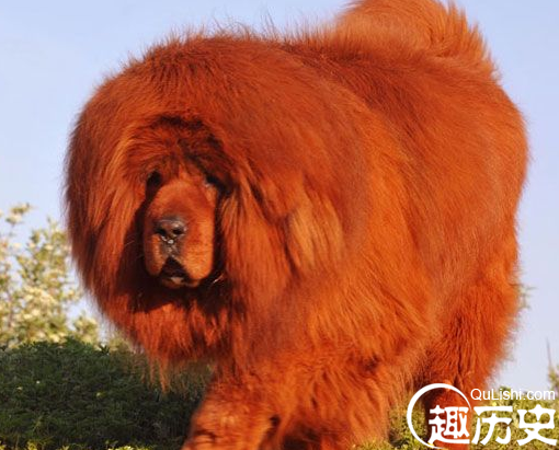QQ截图20160108103926.png