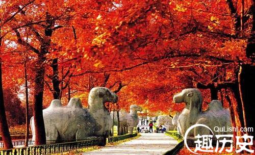 QQ截图20160108170901.jpg