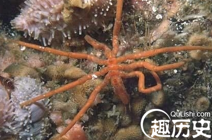 QQ截图20160112113304.png