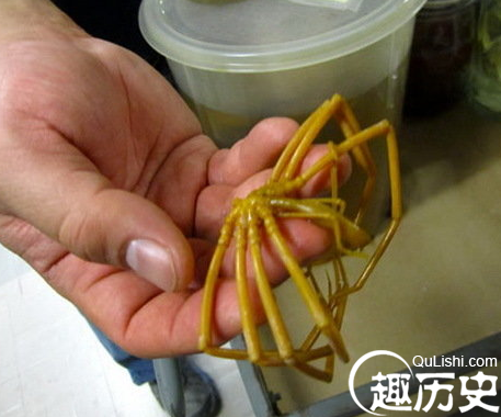 QQ截图20160112113249.png
