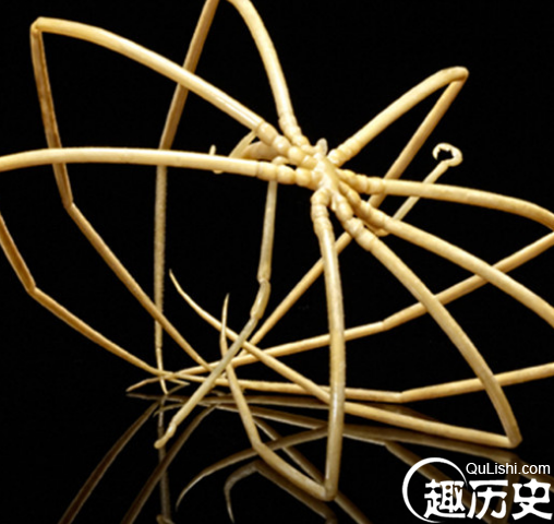 QQ截图20160112113211.png