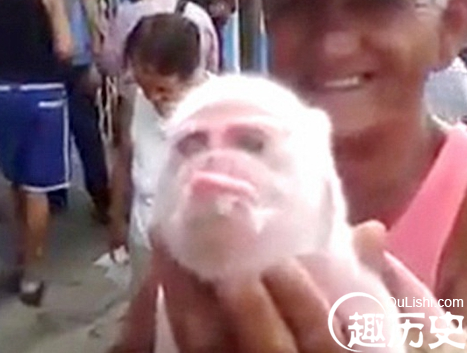 QQ截图20160113110853.png