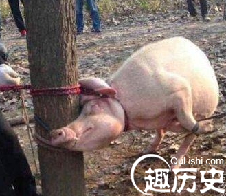 QQ截图20160113132439.png